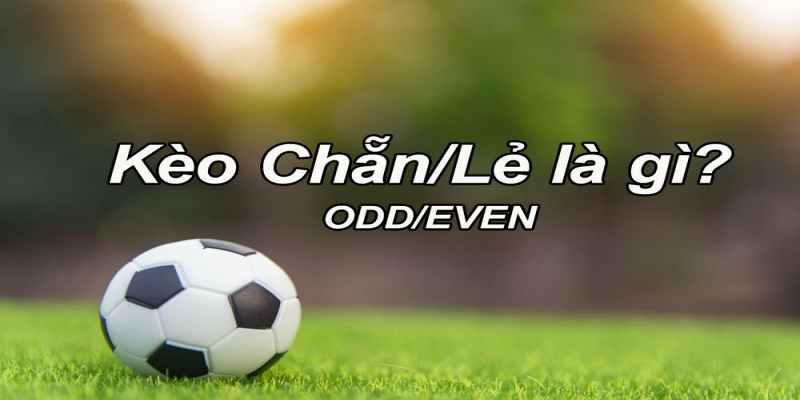 Tìm hiểu cược chẵn lẻ là gì tại Bóng 789 - seedebate.org