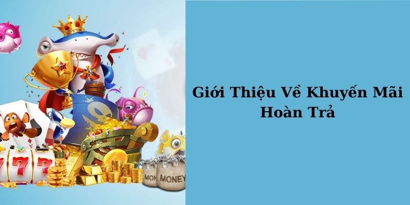 Giới thiệu khuyến mãi hoàn trả nhà cái BONG789 - seedebate.org